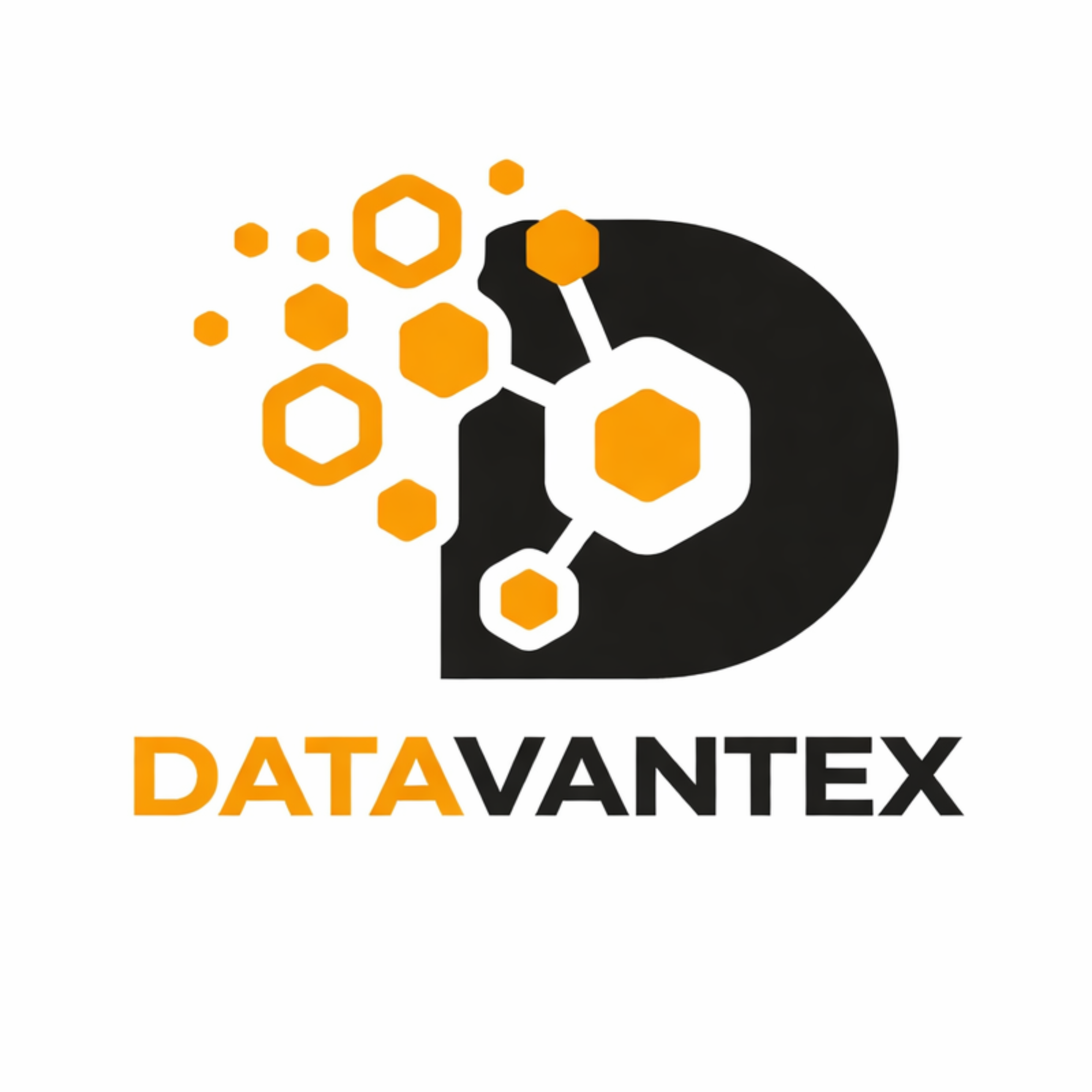Datavantex Logo